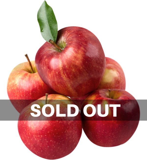 Himachal Apples - Premium (5Kg Pack & 10 Kg Pack)
